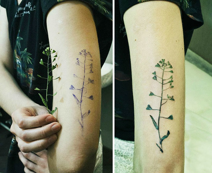 tatuaggi-piante-fiori-foglie-impronte-rit-kit-08-700x572