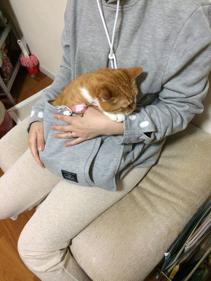 Una felpa con marsupio di canguro incorporato per portare con te il tuo gatto