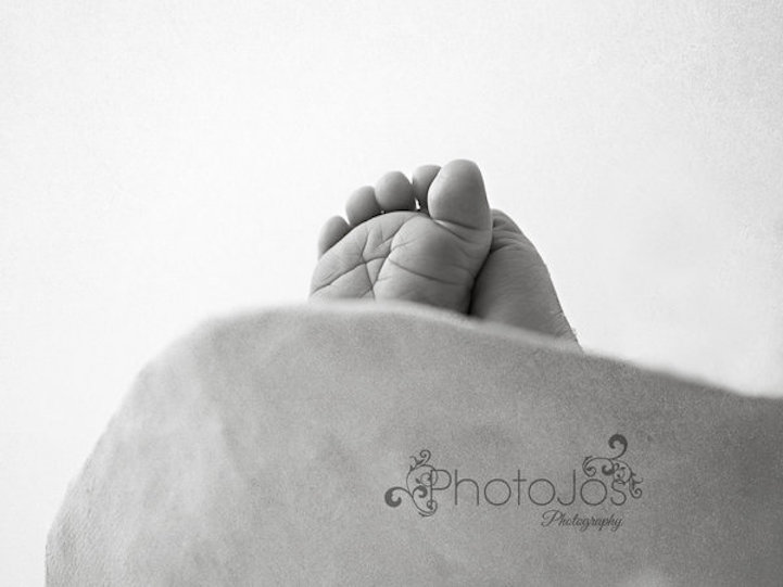 Toccanti fotografie di neonati rannicchiati in stampi della pancia