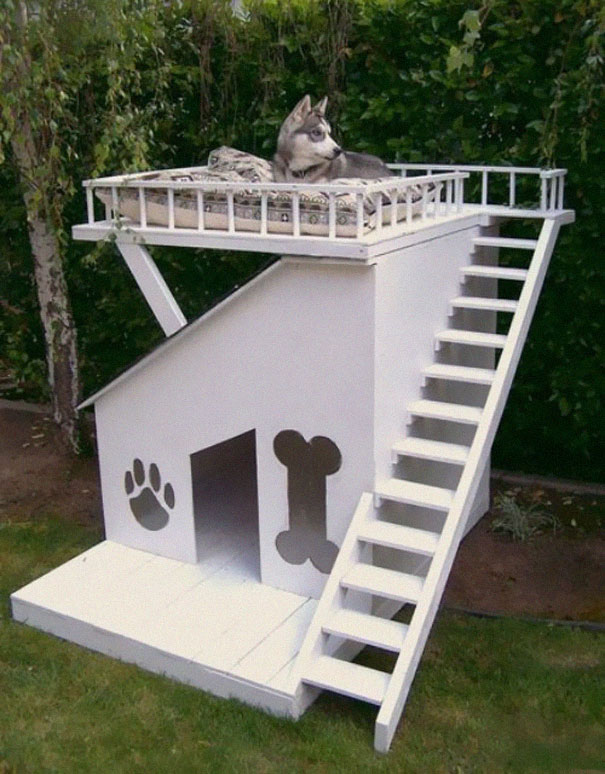 21 mobili per il vostro animale domestico: una casa a dimensione di gatto o  cane
