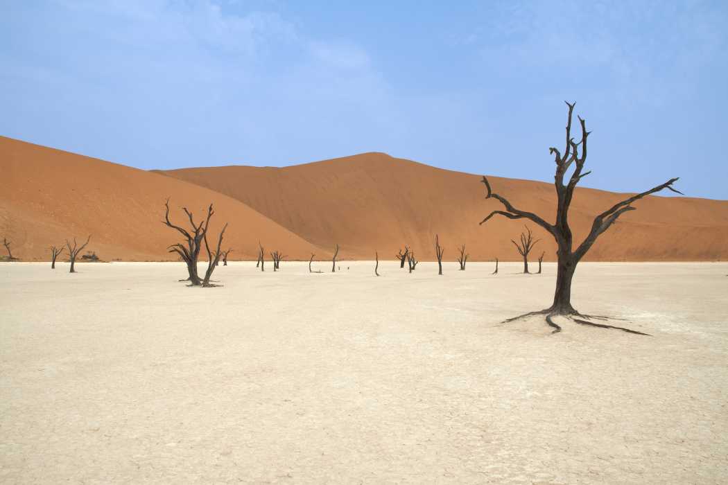 Самая сухая пустыня в африке. Мёртвая Долина Дедвлей (Намибия). Deadvlei Намибия. Лес Дедвлей Намибия. Мертвая Долина в пустыне Намиб.