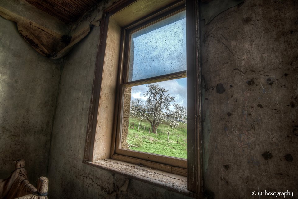 Окно голода. Старинные окна. Старинное окно изнутри. Окно в заброшенном здании. Старые окна изнутри.