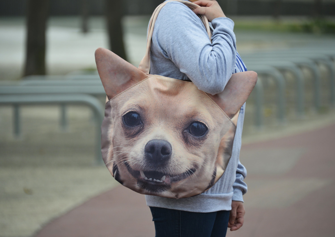 Federe Cuscini Con Animali