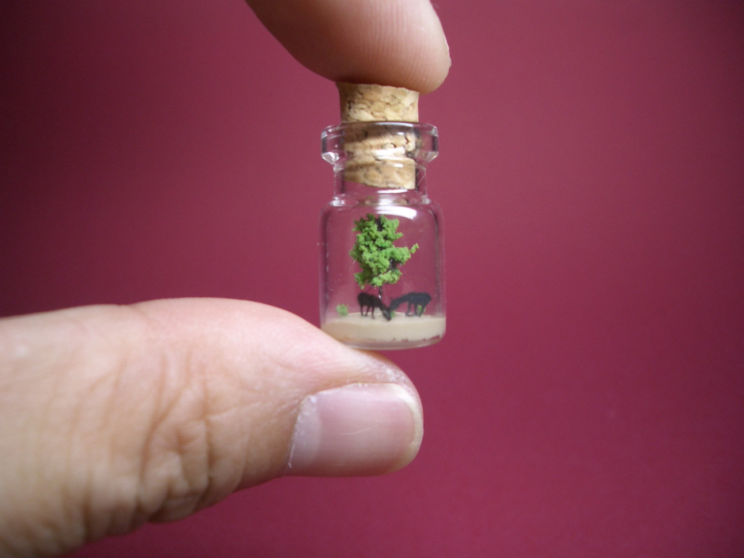 Un artista crea miniature di mondi incantati dentro minuscole bottiglie di  vetro