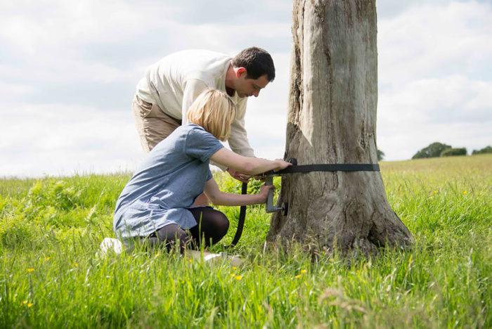 Una scala a chiocciola che si può montare intorno ad un albero senza ... Come costruire una scala a chiocciola