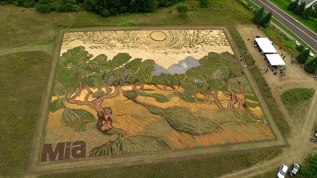 Artista coltiva 5000 mq di terra per creare la sua versione del ...