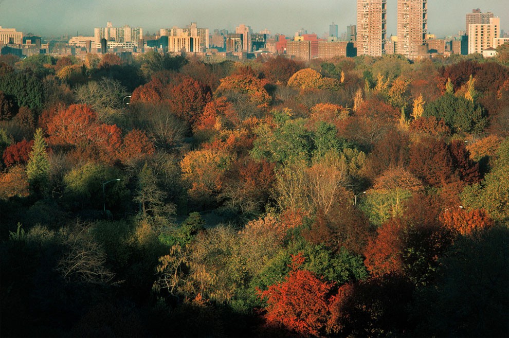 fotografia-new-york-1983-thomas-hoepker-23