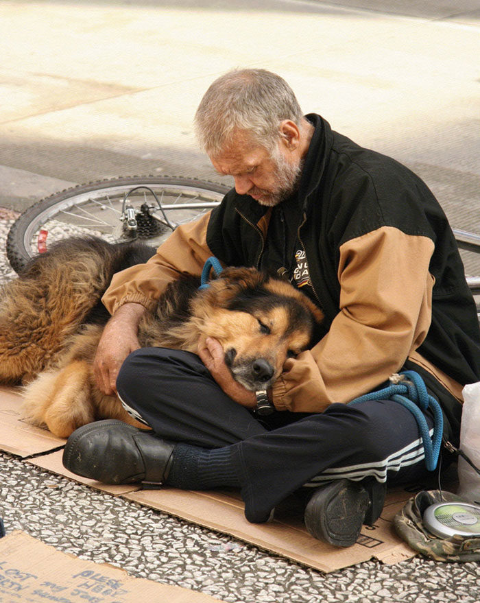 cani-senza-tetto-migliori-amici-15