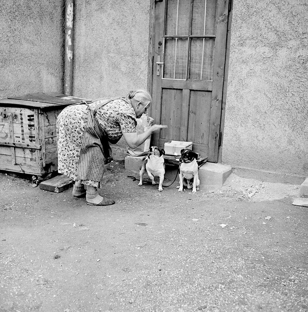 Foto Europa Anni '50 Bill Perlmutter