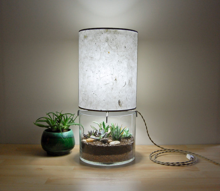 Elegante lampada ti consente di coltivare piante alla base