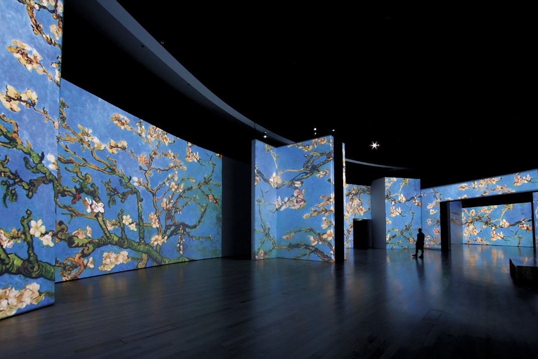 Le opere di Van Gogh prendono vita in una mostra a Roma