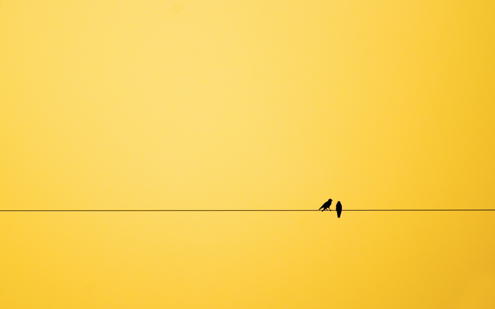 18 affascinanti immagini mostrano la bellezza del minimalismo 18 affascinanti immagini mostrano la bellezza del minimalismo