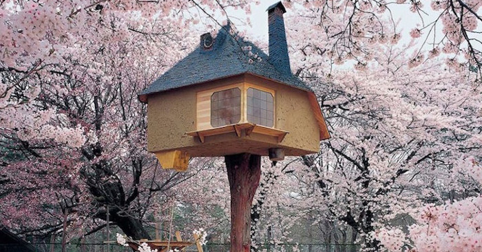 Una casa sull'albero, ma di design: 21 esempi tra i più belli