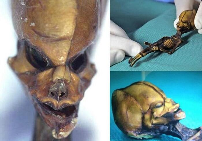 Lo scheletro alieno di Atacama