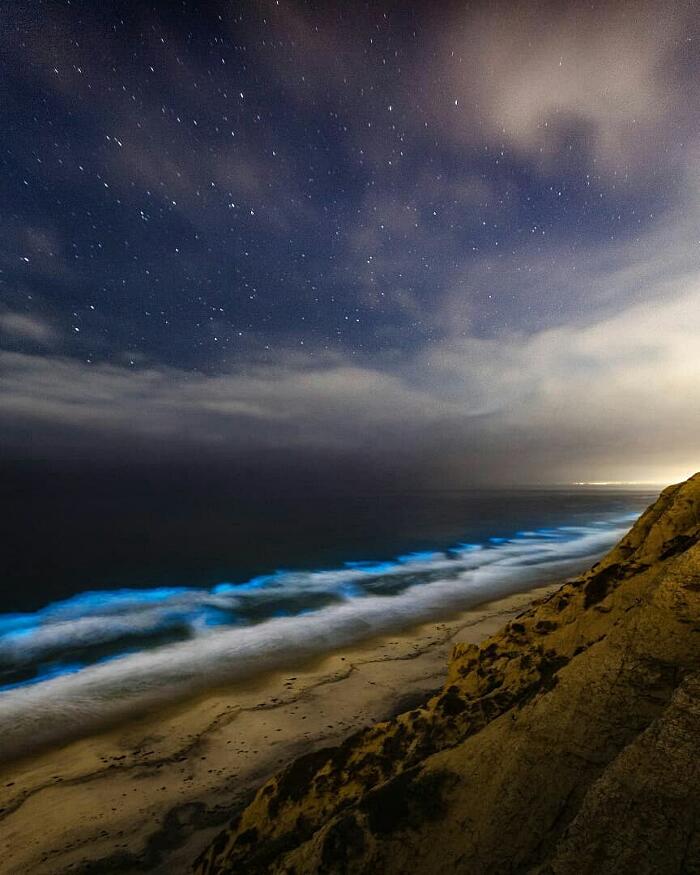 Un Fenomeno Naturale Accende Di Notte Le Spiagge Di San Diego Di Un Blu Incandescente