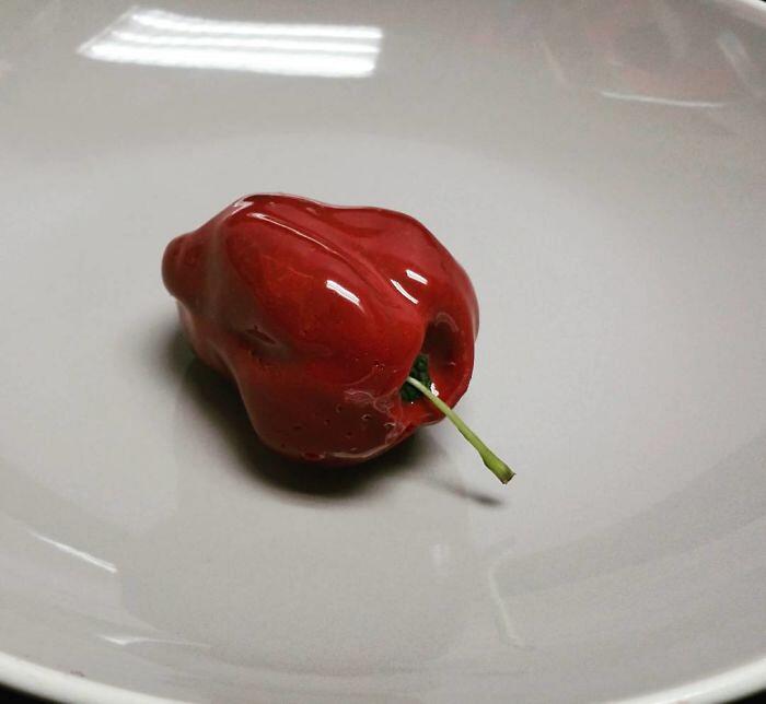 Dessert Illusioni Ottiche Ben Churchill Dessert Illusioni Ottiche Ben Churchill