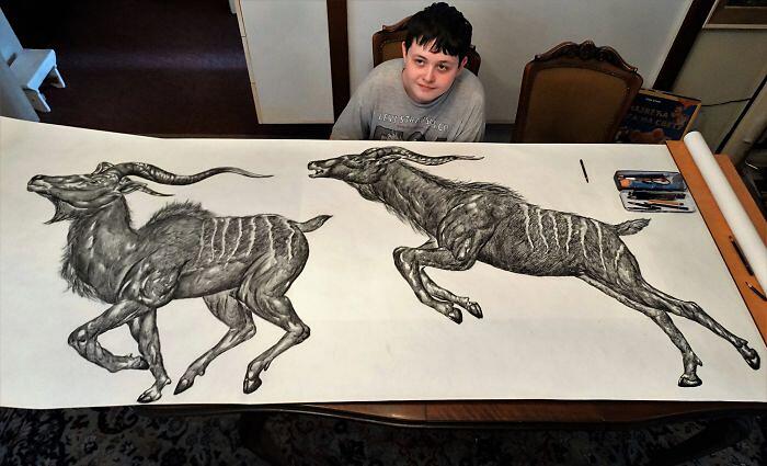 Quindicenne Realizza Stupefacenti Disegni Di Animali A Memoria