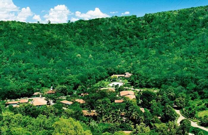 Marito e moglie piantano 2 milioni di alberi in 20 anni e risanano una foresta, Sebastião Salgado e Lélia Salgado