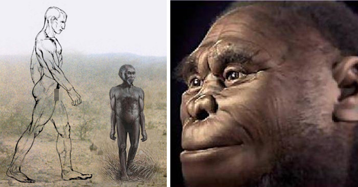 Scoperta Nuova Specie Di Uomo Primitivo Alto Come Un Hobbit Contemporaneo Dell Homo Sapiens L Uomo Di Callao