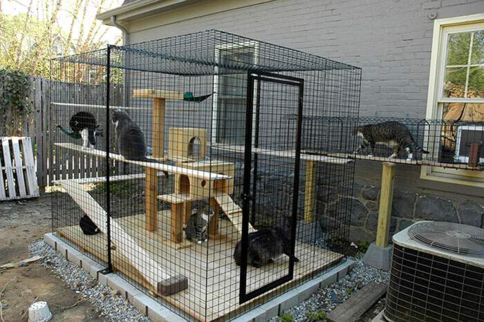 Un "catio" o recinto per gatti in giardino, 45 idee per tenere il gatto al  sicuro - Pagina 2 di 3