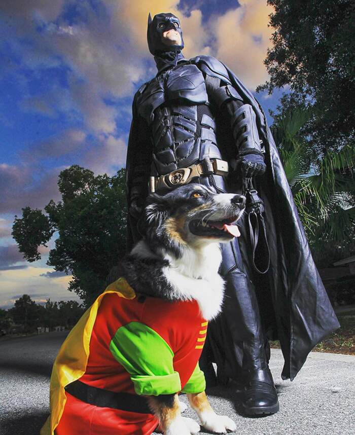 Vestito di Batman per Cani