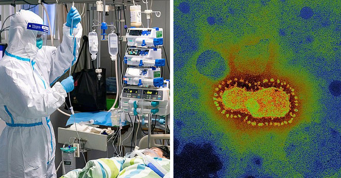 Esperti avevano predetto l'arrivo di un coronavirus e 65 milioni di morti in 18 mesi Esperti avevano predetto l'arrivo di un coronavirus e 65 milioni di morti in 18 mesi