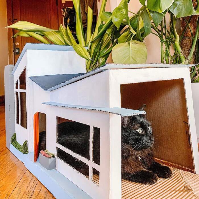 Costruisce una casa anni '50 per i suoi gatti usando vecchi scatoloni ed è  il sogno di ogni gatto