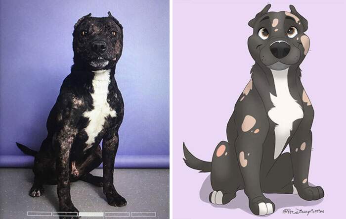 Mandate le foto dei vostri cani e gatti a questa artista: li trasformerà in personaggi  Disney - Instagram
