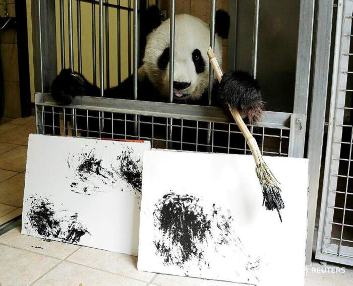 Un Panda Tenuto In Gabbia I Suoi Quadri Venduti Online Keblog