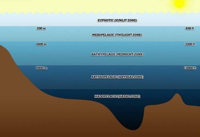 Установите соответствие между зонами океанов
