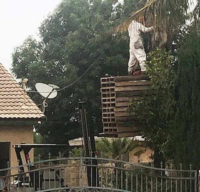 Foto divertenti soluzioni estreme Foto divertenti soluzioni estreme