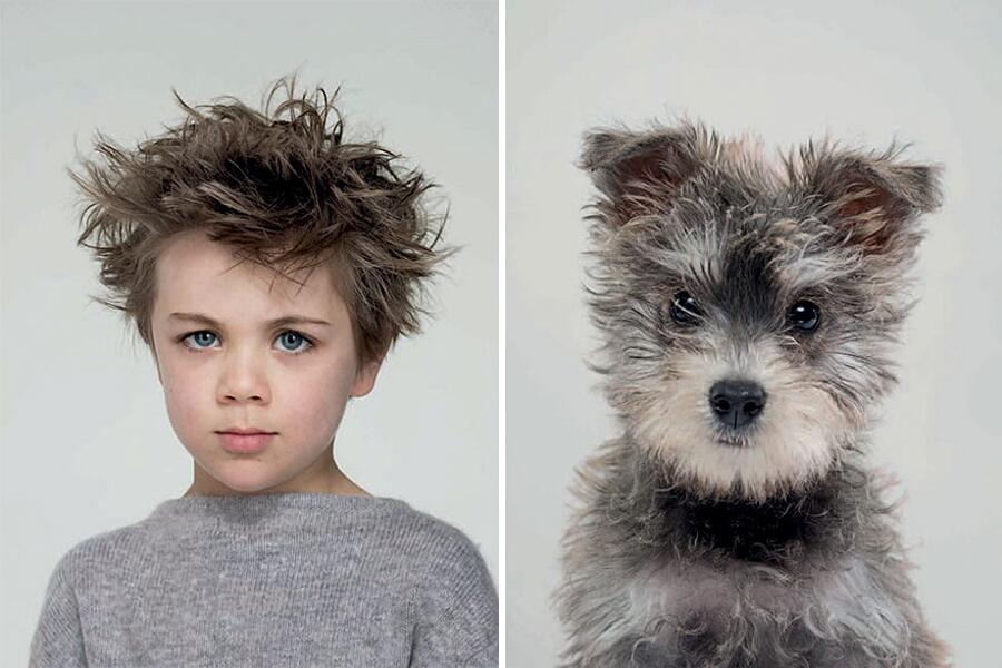 Fotografo mette a confronto cani e rispettivi proprietari e la somiglianza è sconcertante