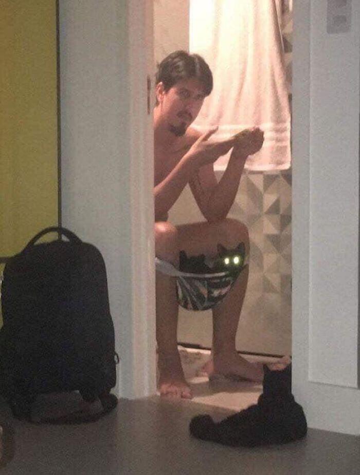 Foto divertenti gatti invadenti Foto divertenti gatti invadenti