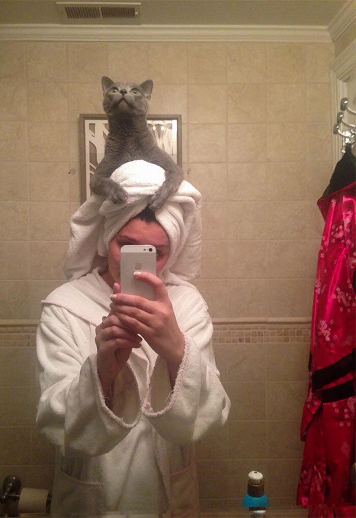 Foto divertenti gatti invadenti Foto divertenti gatti invadenti