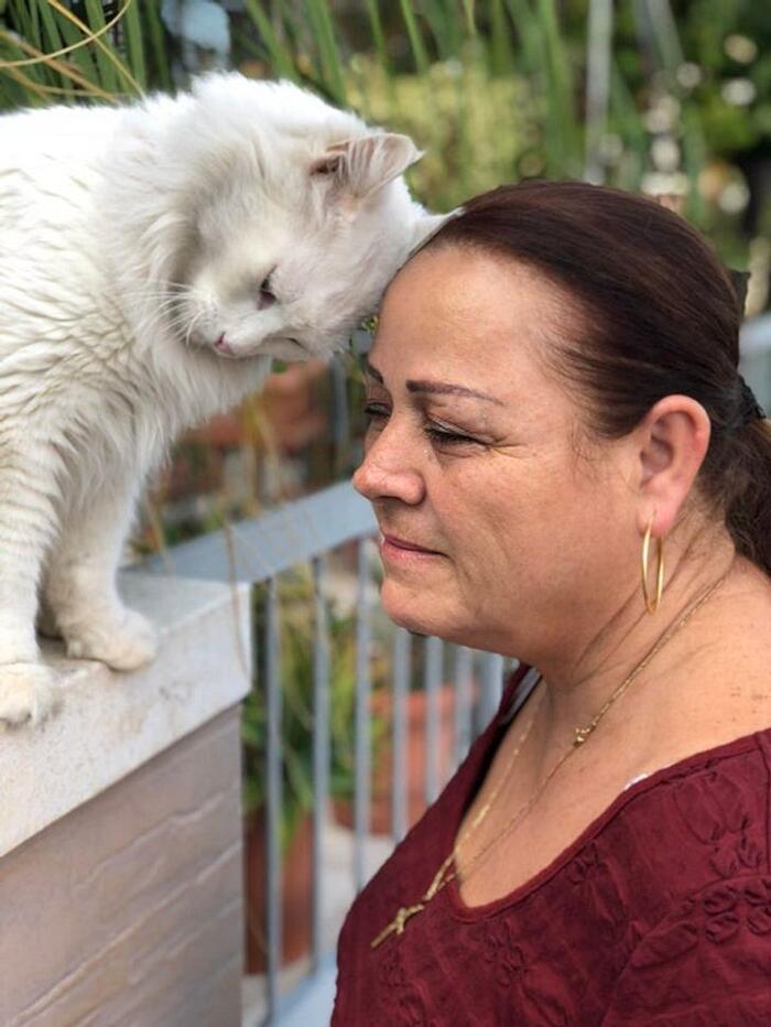 La nonna mi ha chiesto di fare una foto a lei e al suo gatto, non poteva  venire meglio - Keblog