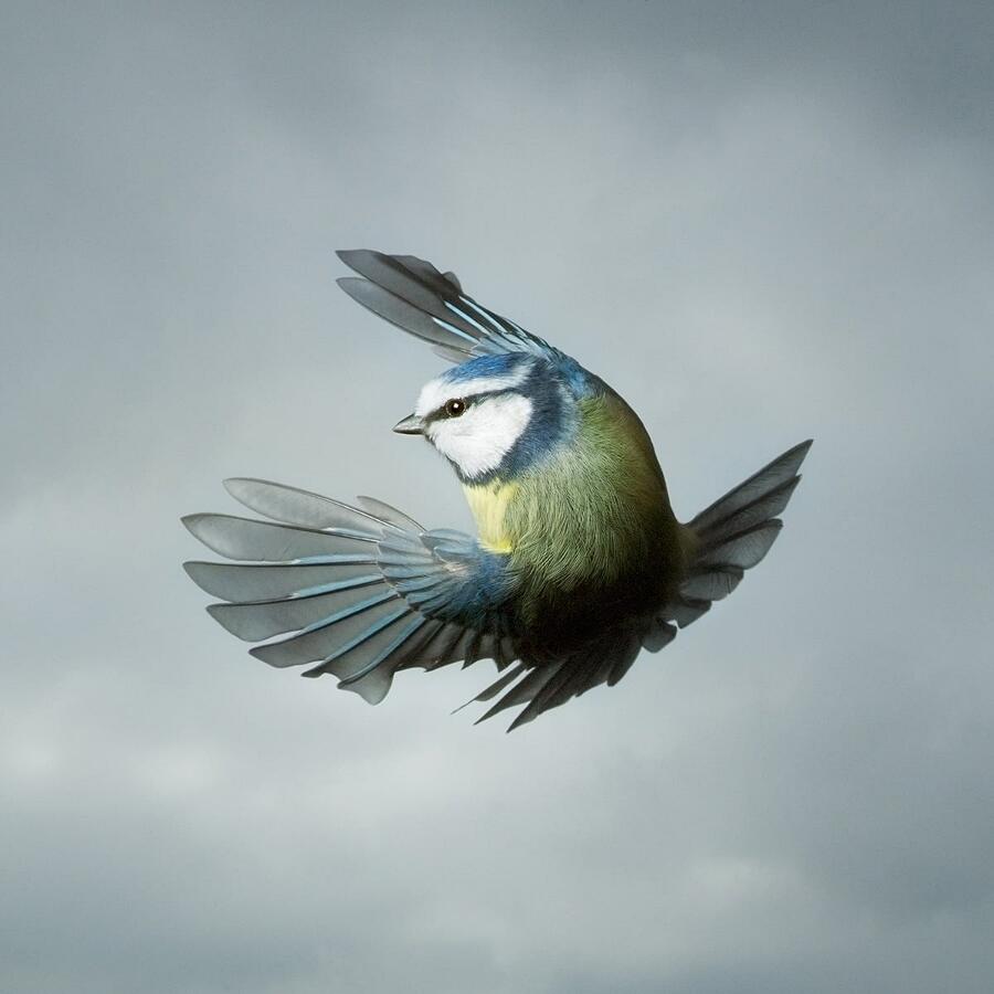 Le migliori foto del 2020 Le migliori foto del 2020