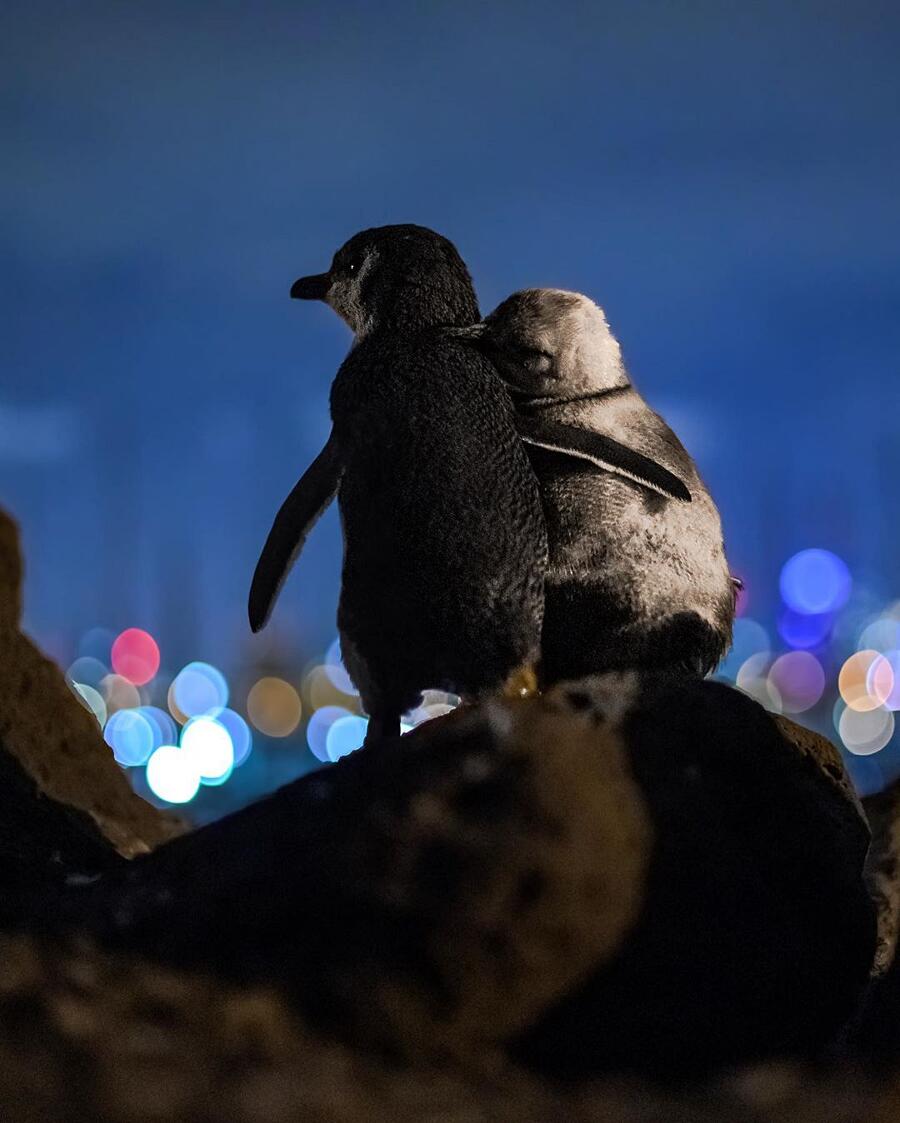 Le migliori foto del 2020 Le migliori foto del 2020