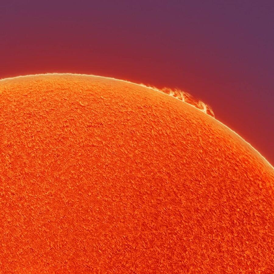 Le migliori foto del 2020 Le migliori foto del 2020
