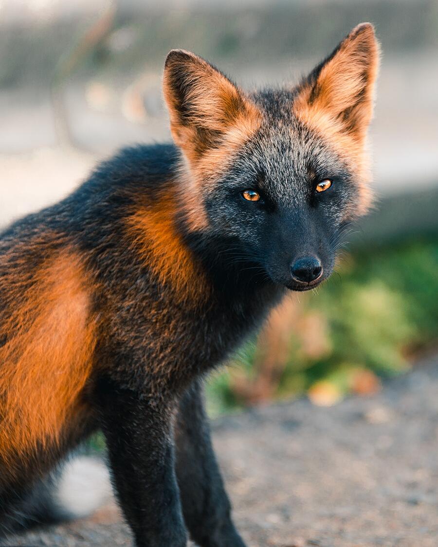Le migliori foto del 2020 Le migliori foto del 2020