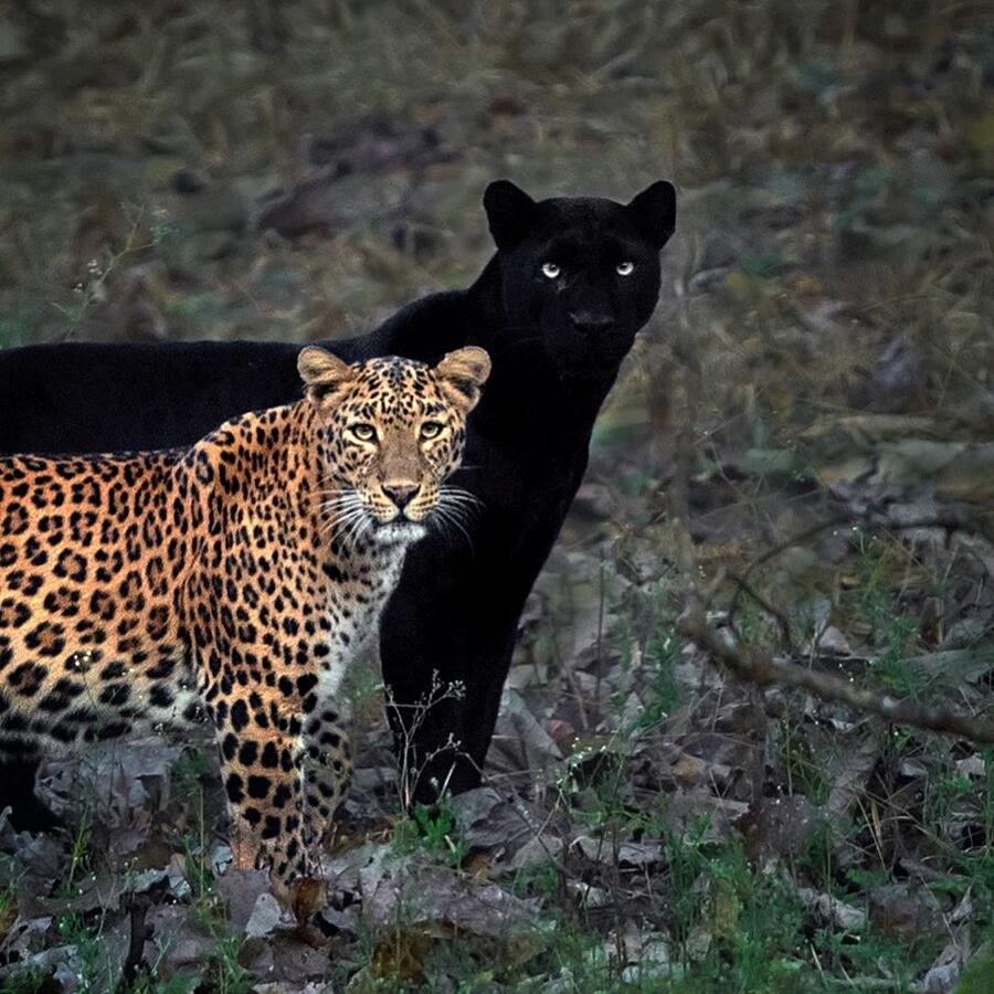 Le migliori foto del 2020 Le migliori foto del 2020