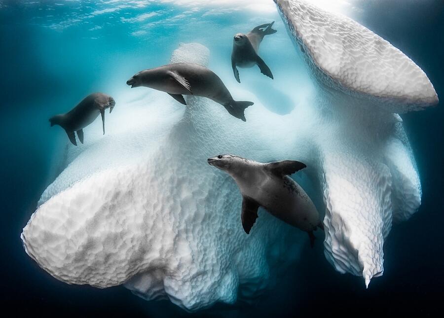 Le migliori foto del 2020 Le migliori foto del 2020