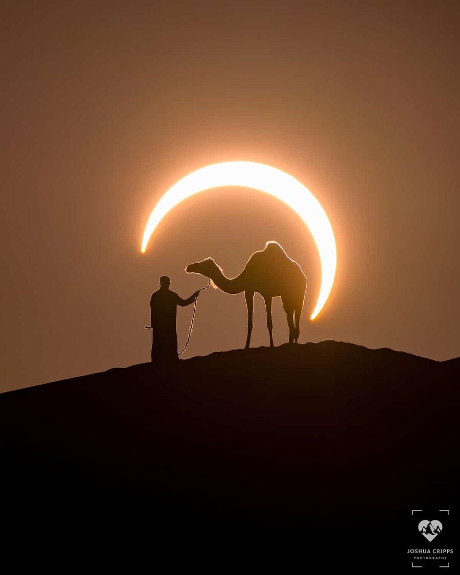 Le migliori foto del 2020 Le migliori foto del 2020