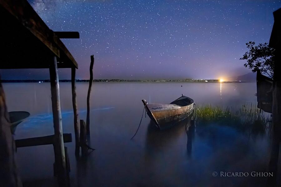 Le migliori foto del 2020 Le migliori foto del 2020