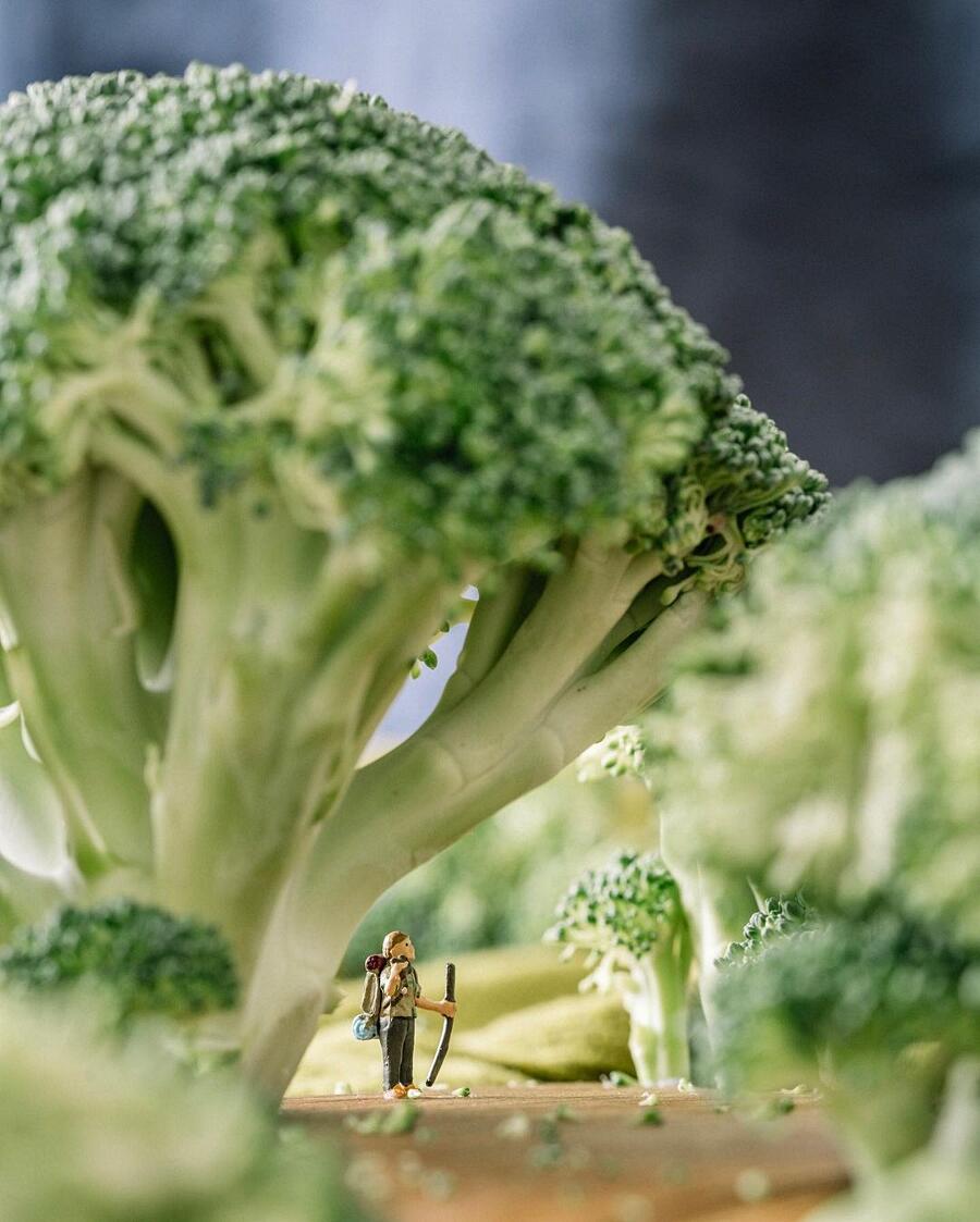 Le migliori foto del 2020 Le migliori foto del 2020