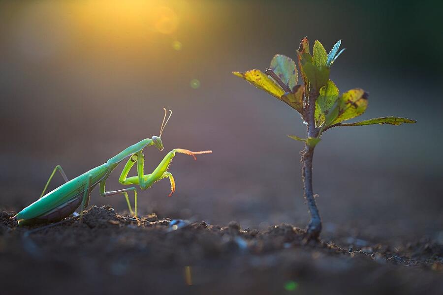 Le migliori foto del 2020 Le migliori foto del 2020