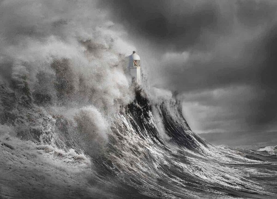 Le migliori foto del 2020 Le migliori foto del 2020