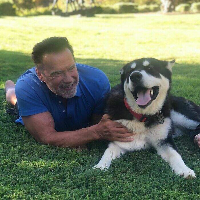 VIP e personaggi famosi con i loro cani VIP e personaggi famosi con i loro cani