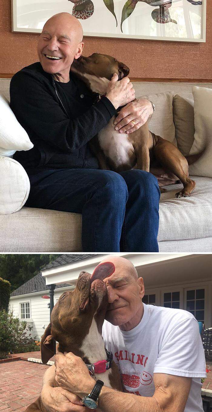 VIP e personaggi famosi con i loro cani VIP e personaggi famosi con i loro cani