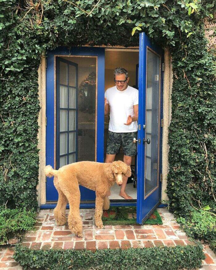 VIP e personaggi famosi con i loro cani VIP e personaggi famosi con i loro cani