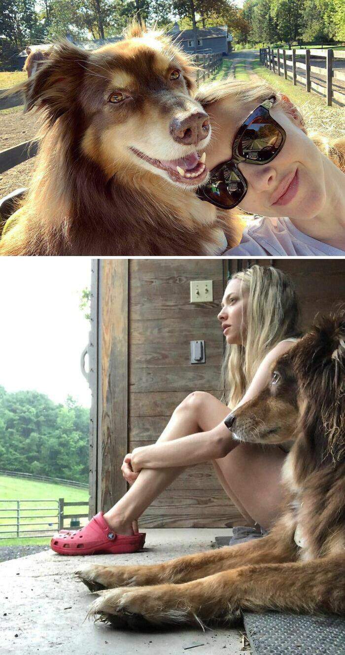 VIP e personaggi famosi con i loro cani VIP e personaggi famosi con i loro cani